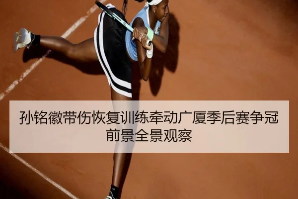 孙铭徽带伤恢复训练牵动广厦季后赛争冠前景全景观察